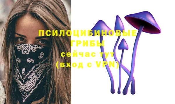 прущие крисы Дмитровск