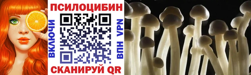 Галлюциногенные грибы MAGIC MUSHROOMS  Валуйки 