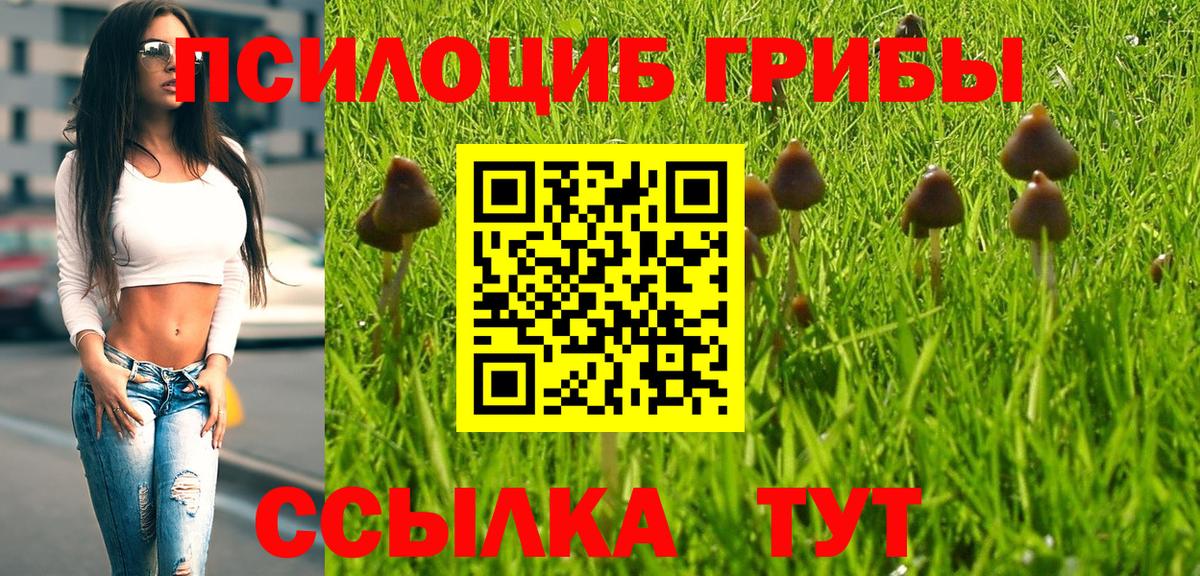 Галлюциногенные грибы Cubensis  Галлюциногенные грибы Cubensis  Валуйки  Вход с VPN 